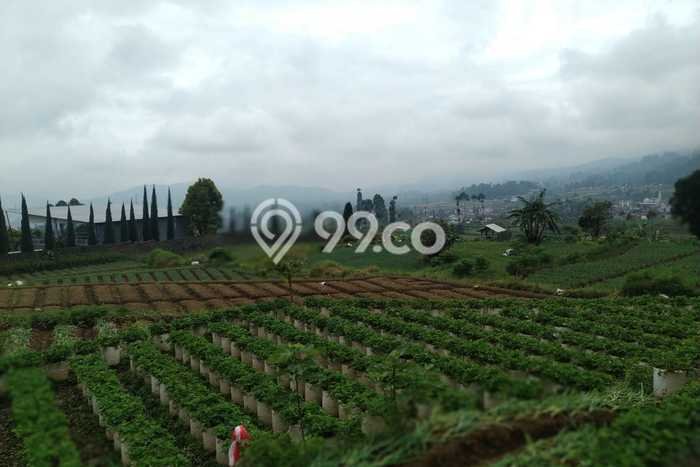 Lahan Investasi Lokasi Ciwidey Bandung SHM Lahan Investasi Lokasi Ciwidey Bandung SHM