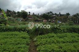 Lahan Investasi Lokasi Ciwidey Bandung SHM Lahan Investasi Lokasi Ciwidey Bandung SHM
