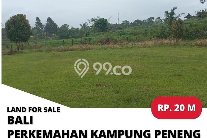 Tanah Kavling di Baturiti Dijual dengan Luas 13000m2 Tanah Kavling di Baturiti Dijual dengan Luas 13000m2