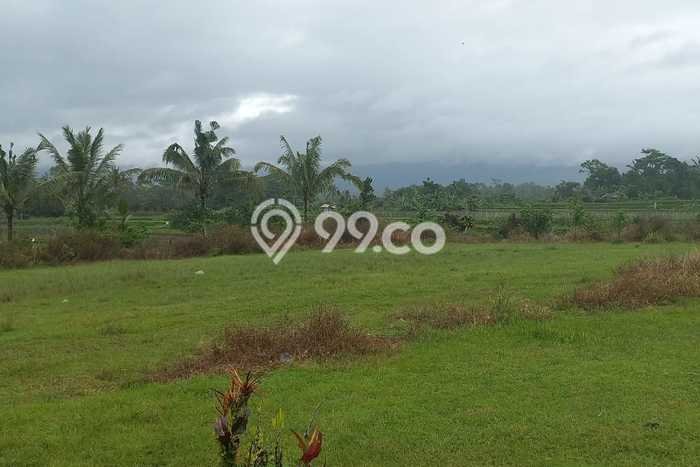 Tanah Kavling di Baturiti Dijual dengan Luas 13000m2 Tanah Kavling di Baturiti Dijual dengan Luas 13000m2