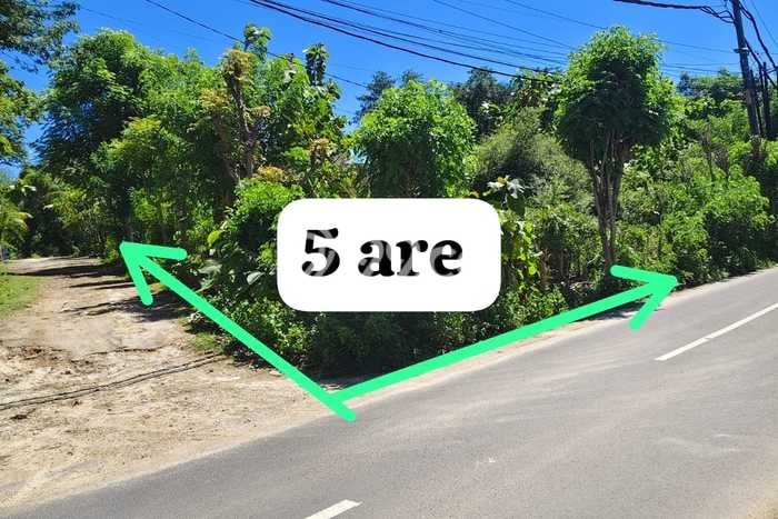 Jarang Ada! Tanah Kavling Disewakan di Badung 200m2 Jarang Ada! Tanah Kavling Disewakan di Badung 200m2