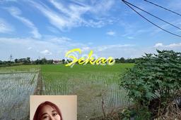 Lahan untuk Dijual Lokasi Pemalang, Pemalang Luas 35000m2 SHM Lahan untuk Dijual Lokasi Pemalang, Pemalang Luas 35000m2 SHM