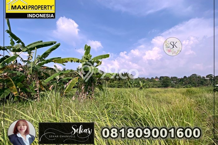 Jual Murah Lahan Carita Untuk Hotel Ada View Laut Dari Bukit Jual Murah Lahan Carita Untuk Hotel Ada View Laut Dari Bukit
