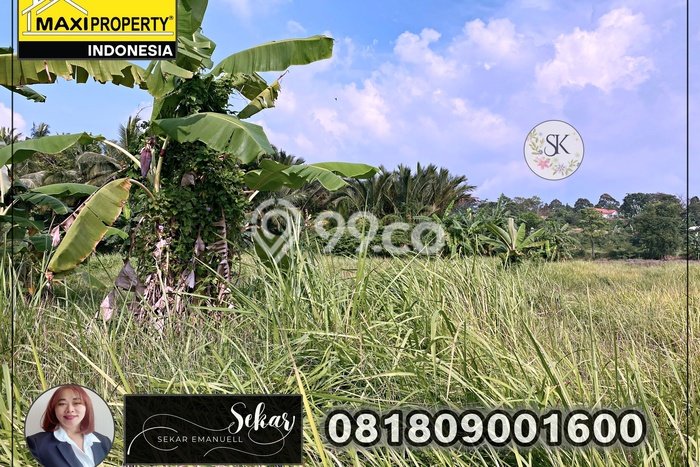 Tanah Carita Bisa Kerjasama Bangun Hotel Atau Perumahan Tanah Carita Bisa Kerjasama Bangun Hotel Atau Perumahan
