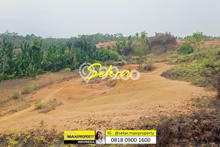 Tanah Komersial Dijual di Pandeglang Pandeglang 500000m2 Tanah Komersial Dijual di Pandeglang Pandeglang 500000m2