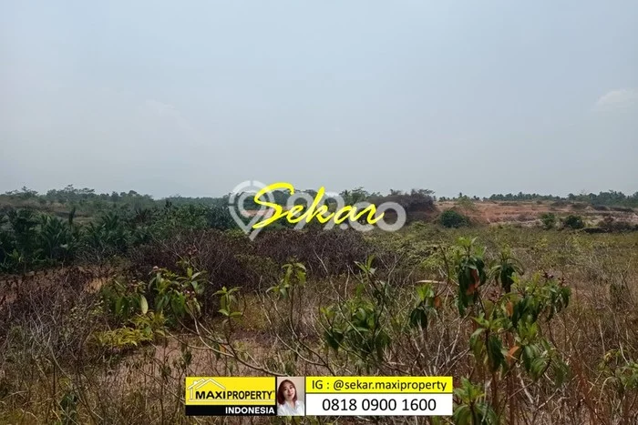 Tanah Dijual Lokasi Labuan, Pandeglang Luas 500000m2 Legalitas Aman Tanah Dijual Lokasi Labuan, Pandeglang Luas 500000m2 Legalitas Aman