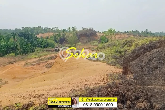 Tanah Komersial Dijual di Pandeglang Pandeglang 500000m2 Tanah Komersial Dijual di Pandeglang Pandeglang 500000m2