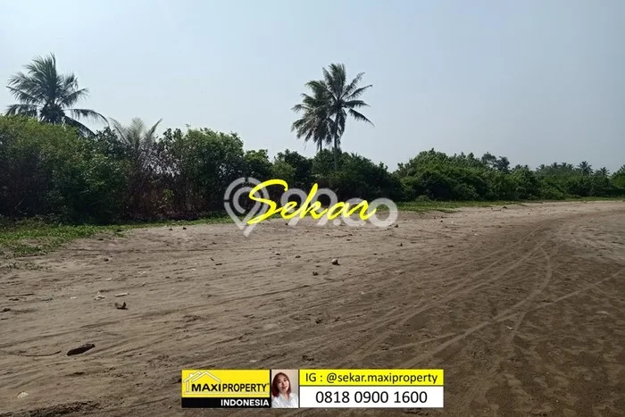 Untuk Dijual Tanah di Carita Pandeglang Luas 180000m2 SHM Untuk Dijual Tanah di Carita Pandeglang Luas 180000m2 SHM