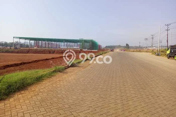 Lahan Strategis di Banyuputih Dijual dengan Luas 27000m2 Lahan Strategis di Banyuputih Dijual dengan Luas 27000m2