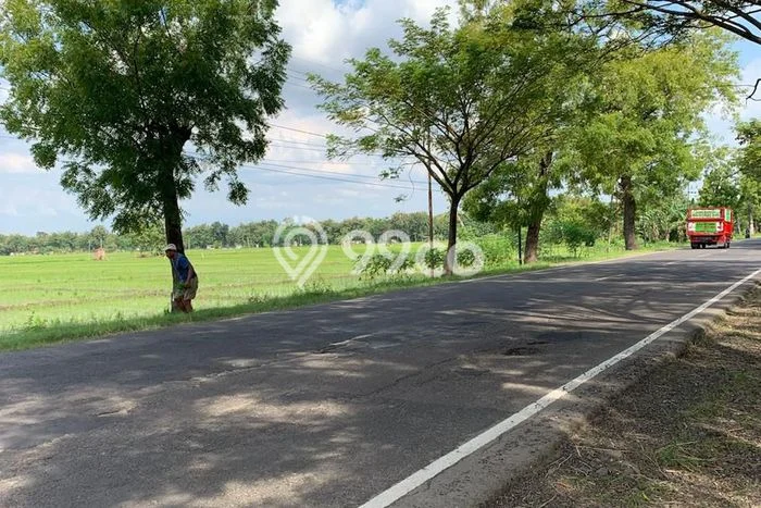 Lahan untuk Dijual di Ngawi Ngawi Luas 80000m2 Lahan untuk Dijual di Ngawi Ngawi Luas 80000m2