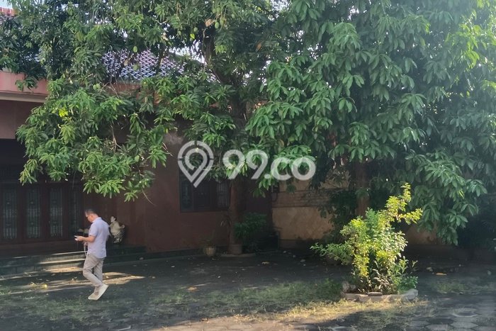 Disewakan Komersial Bisnis di Semarang Timur Semarang Harga Sewa Menarik Bisa Nego Disewakan Komersial Bisnis di Semarang Timur Semarang Harga Sewa Menarik Bisa Nego