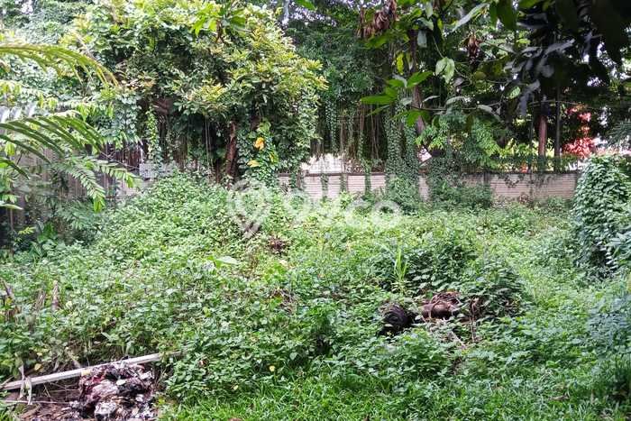 Komersial Dijual Lokasi Stratagis di Kebayoran Lama Jakarta Selatan Cocok untuk Investasi Komersial Dijual Lokasi Stratagis di Kebayoran Lama Jakarta Selatan Cocok untuk Investasi