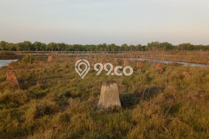 Tanah Siap Bangun Dijual di Subang Punya Luas 16490m2 Tanah Siap Bangun Dijual di Subang Punya Luas 16490m2