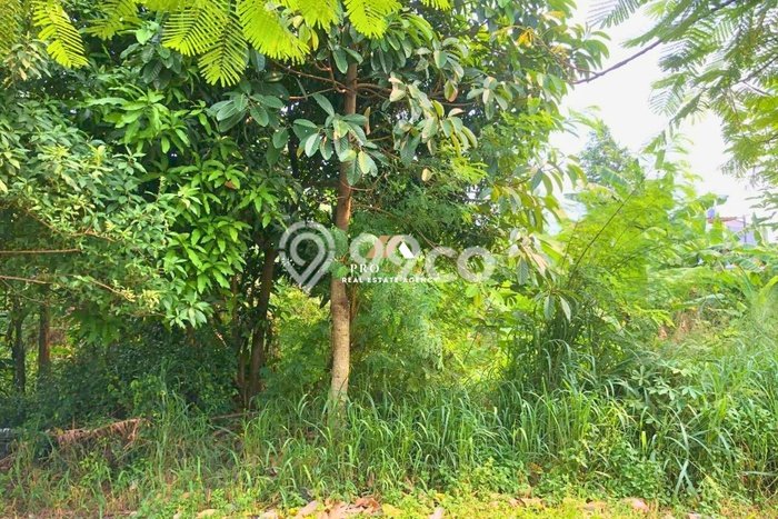 Tanah Strategis Dijual di Ciputat Tangerang Selatan 240m2 Tanah Strategis Dijual di Ciputat Tangerang Selatan 240m2