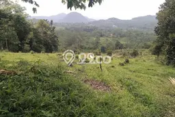 Tanah Lokasi Prima Kawasan Jasinga, Luas 20000m2m², Lingkungan Asri, Akses Jasinga, Bogor, Bogor Tanah Lokasi Prima Kawasan Jasinga, Luas 20000m2m², Lingkungan Asri, Akses Jasinga, Bogor, Bogor