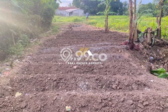 Tanah untuk Dijual di Ciomas Bogor Luas 153m2 Tanah untuk Dijual di Ciomas Bogor Luas 153m2