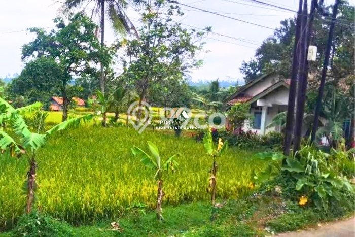 Lahan Dijual Lokasi Nagrak, Sukabumi dengan Luas Tanah 580m2 dan Status SHM Lahan Dijual Lokasi Nagrak, Sukabumi dengan Luas Tanah 580m2 dan Status SHM