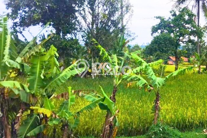 Lahan Dijual Lokasi Nagrak, Sukabumi dengan Luas Tanah 580m2 dan Status SHM Lahan Dijual Lokasi Nagrak, Sukabumi dengan Luas Tanah 580m2 dan Status SHM