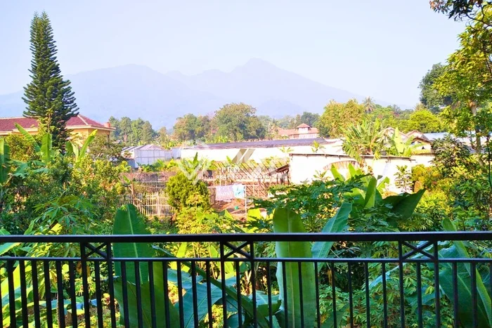 Jual Rumah Minimalis Bagus Punya 4 KT di Cijeruk Bogor SHM Jual Rumah Minimalis Bagus Punya 4 KT di Cijeruk Bogor SHM