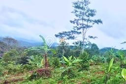Tanah Strategis Dijual di Cisaat Sukabumi 26625m2 Tanah Strategis Dijual di Cisaat Sukabumi 26625m2