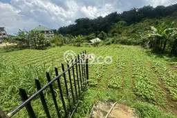 Lahan Kosong Dijual di Sukaraja, Sukabumi, Luas 1900m2 Area Strategis Lahan Kosong Dijual di Sukaraja, Sukabumi, Luas 1900m2 Area Strategis