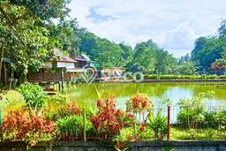 Dijual Tanah di Babakan Madang Bogor Luas 8000m2 SHM Dijual Tanah di Babakan Madang Bogor Luas 8000m2 SHM