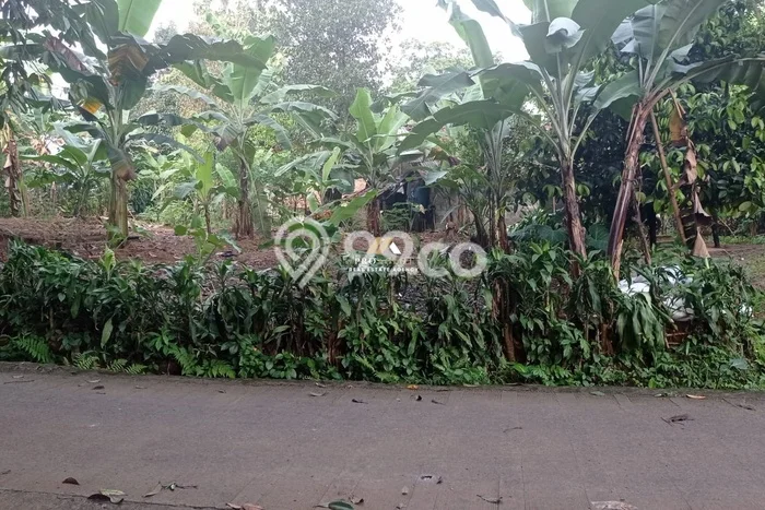 Tanah Strategis Dijual di Babakan Madang Bogor 365m2 Tanah Strategis Dijual di Babakan Madang Bogor 365m2