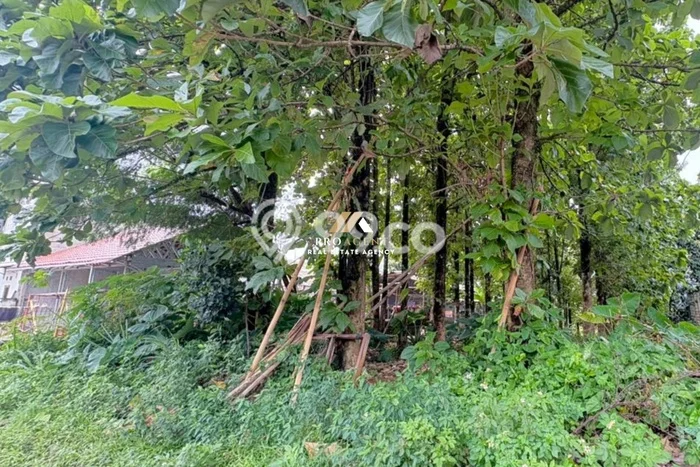 Tanah untuk Dijual di Babakan Madang Bogor Luas 800m2 Tanah untuk Dijual di Babakan Madang Bogor Luas 800m2