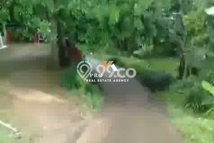 Kavling Tanah Dijual di Leuwiliang Bogor Spesifikasi 902m2 Kavling Tanah Dijual di Leuwiliang Bogor Spesifikasi 902m2