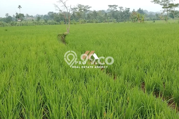Tanah Kavling untuk Dijual di Cibeber Cianjur 3780m2 Tanah Kavling untuk Dijual di Cibeber Cianjur 3780m2