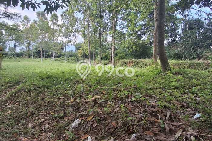 Kavling Tanah Dijual di Parongpong Bandung Barat Spesifikasi 1365m2 Kavling Tanah Dijual di Parongpong Bandung Barat Spesifikasi 1365m2