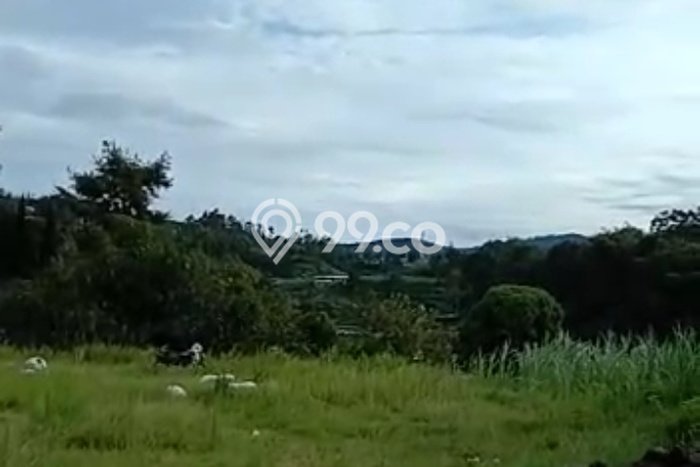 Jarang Ada! Tanah di Lembang Punya Luas 21688m2 SHM Jarang Ada! Tanah di Lembang Punya Luas 21688m2 SHM