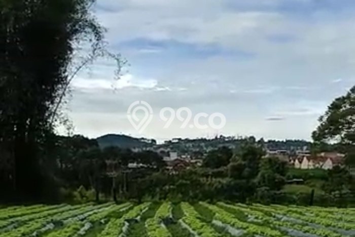 Jarang Ada! Tanah di Lembang Punya Luas 21688m2 SHM Jarang Ada! Tanah di Lembang Punya Luas 21688m2 SHM