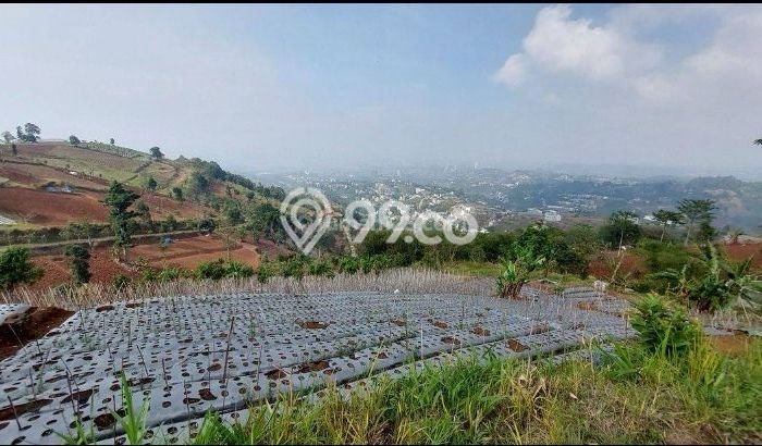 Tanah Kavling untuk Dijual di Cimenyan Bandung 6242m2 Tanah Kavling untuk Dijual di Cimenyan Bandung 6242m2