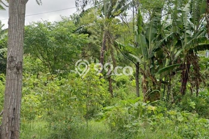 Untuk Dijual Tanah 1750m2 di Ciumbuleuit, Bandung Untuk Dijual Tanah 1750m2 di Ciumbuleuit, Bandung
