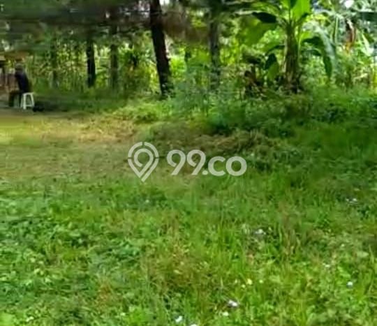 Tanah di Ngamprah, Bandung Barat Luas 8965m2 Dijual Segera Tanah di Ngamprah, Bandung Barat Luas 8965m2 Dijual Segera
