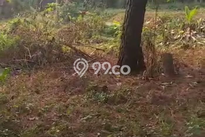 Tanah di Ngamprah, Bandung Barat Luas 8965m2 Dijual Segera Tanah di Ngamprah, Bandung Barat Luas 8965m2 Dijual Segera