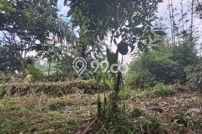 Kavling Tanah Dijual di Parongpong Bandung Barat Spesifikasi 1365m2 Kavling Tanah Dijual di Parongpong Bandung Barat Spesifikasi 1365m2