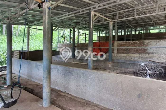 Disewakan Segera Tanah di Cilengkrang Luas 1050m2 Area Potensial Disewakan Segera Tanah di Cilengkrang Luas 1050m2 Area Potensial