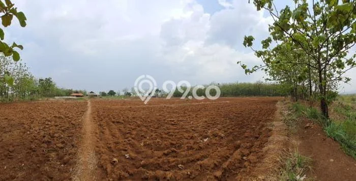 Tanah Kavling Dijual di Majalengka Kota, Majalengka dengan Luas Tanah 21579m2 Tanah Kavling Dijual di Majalengka Kota, Majalengka dengan Luas Tanah 21579m2