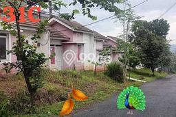 Rumah Idaman 1 KT Hemat Budget di Cibubur Jakarta Timur Rumah Idaman 1 KT Hemat Budget di Cibubur Jakarta Timur