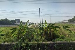 Tanah Dijual Lokasi Gempol, Pasuruan dengan Luas Tanah 17315m2 dan Status - Tanah Dijual Lokasi Gempol, Pasuruan dengan Luas Tanah 17315m2 dan Status -