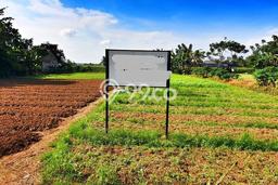 Lahan untuk Dijual Lokasi Babelan, Bekasi Luas 2478m2 SHM Lahan untuk Dijual Lokasi Babelan, Bekasi Luas 2478m2 SHM