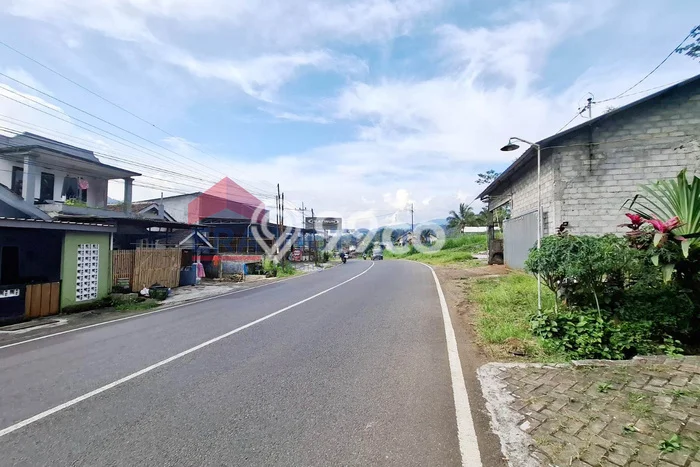 Jarang Ada! Tanah di Ngantang Punya Luas 6679m2 SHM Jarang Ada! Tanah di Ngantang Punya Luas 6679m2 SHM