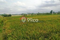 Tanah Dijual Lokasi Pakis, Malang dengan Luas Tanah 1381m2 dan Status SHM Tanah Dijual Lokasi Pakis, Malang dengan Luas Tanah 1381m2 dan Status SHM