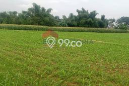 Lahan Kosong Dijual di Wongsorejo, Banyuwangi, Luas 20000m2 Area Strategis Lahan Kosong Dijual di Wongsorejo, Banyuwangi, Luas 20000m2 Area Strategis