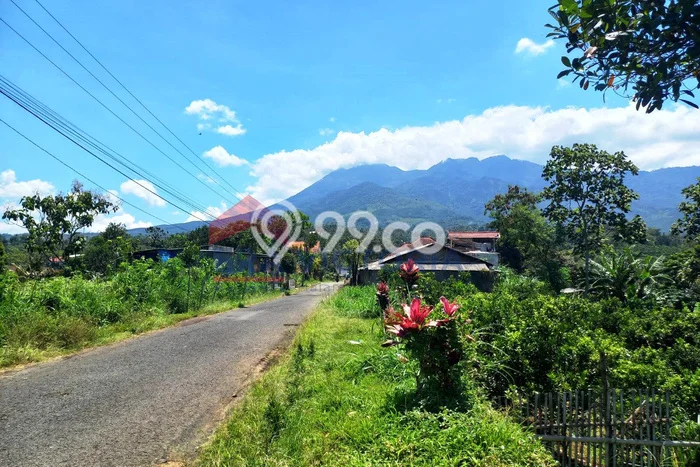 Tanah Kosong Dijual di Pasuruan dengan Area 7622m2 Tanah Kosong Dijual di Pasuruan dengan Area 7622m2