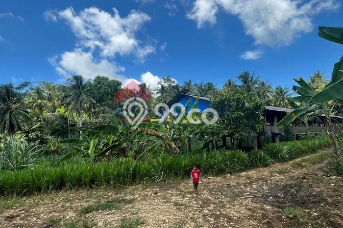 Lahan Dijual Lokasi Bantur, Malang dengan Luas Tanah 14355m2 dan Status - Lahan Dijual Lokasi Bantur, Malang dengan Luas Tanah 14355m2 dan Status -