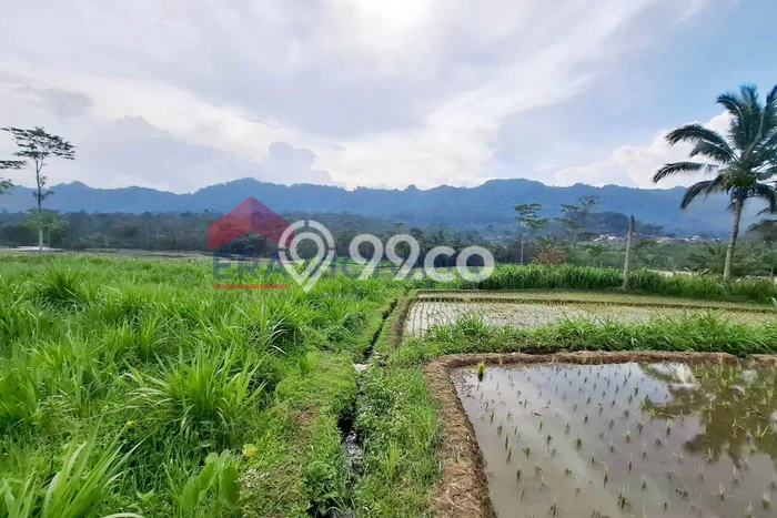 Jarang Ada! Tanah di Ngantang Punya Luas 6679m2 SHM Jarang Ada! Tanah di Ngantang Punya Luas 6679m2 SHM
