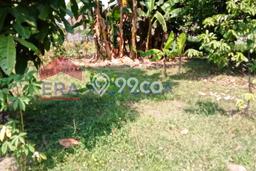 Tanah Kosong Dijual di Kediri dengan Area 265m2 Tanah Kosong Dijual di Kediri dengan Area 265m2